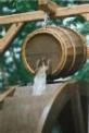 with the barrel fountain kits the watr drawen out ponds, streams, or garden ponds into the fountain of the barrel to the waterwheels and recycled back into the garden ponds.(Beautiful addition)Great home and garden idea!